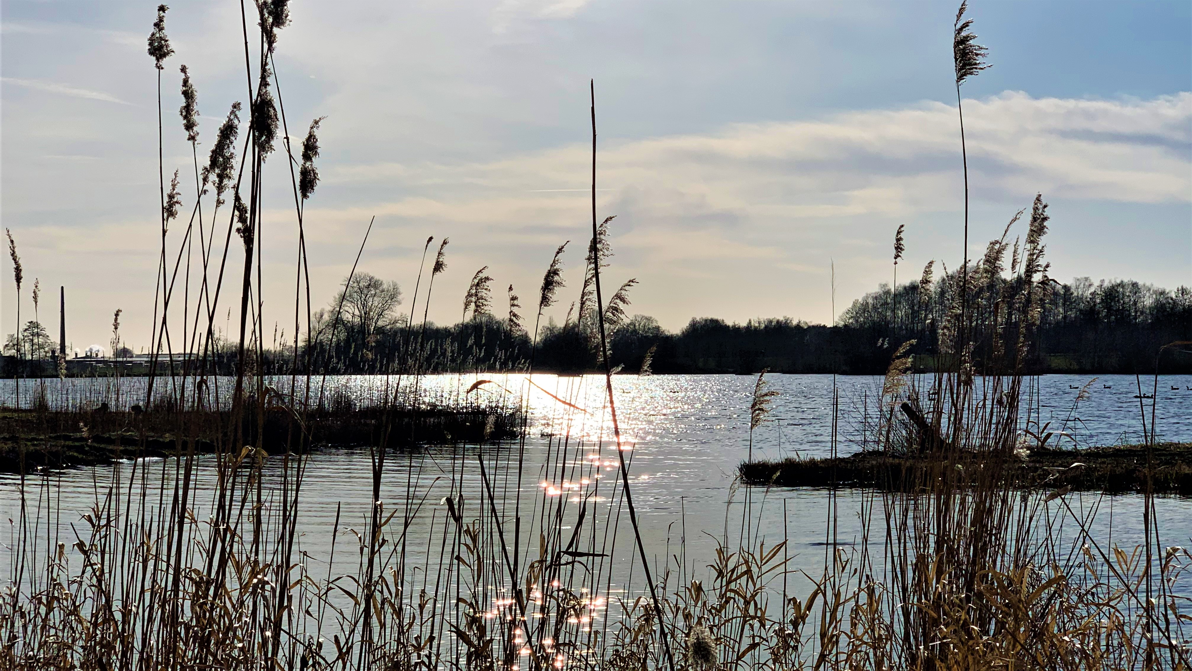 HEIMAT 8